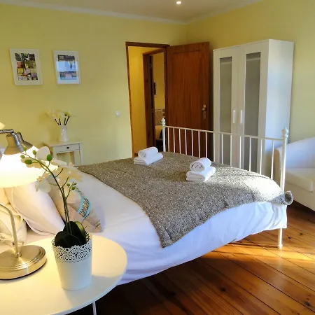 Lisbon Experience Apartments Principe Real Apartment Lisbon